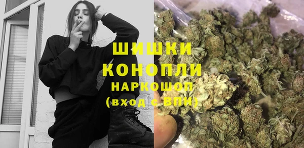 тгк Каменка