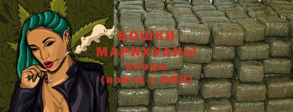 тгк Каменка