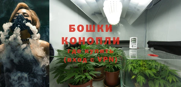 тгк Каменка