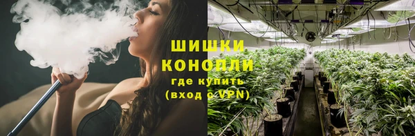 тгк Каменка