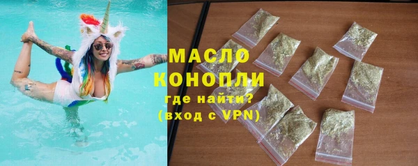 тгк Каменка