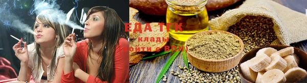 тгк Каменка