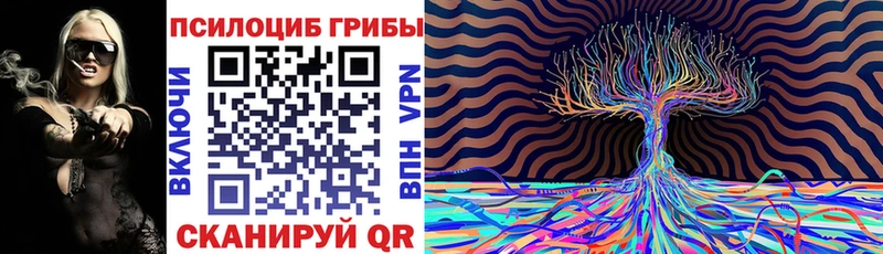 Купить закладки  Сясьстрой  Псилоцибиновые грибы GOLDEN TEACHER 